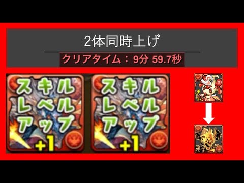 【ピィはアルヴァニスに使うべき】シヴァドラ降臨　スキル上げ2枠周回【パズドラ】