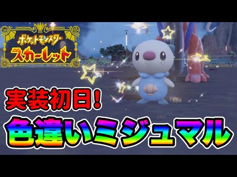 実装初日に色違いミジュマルを出して発狂する男　【ポケモンSV】