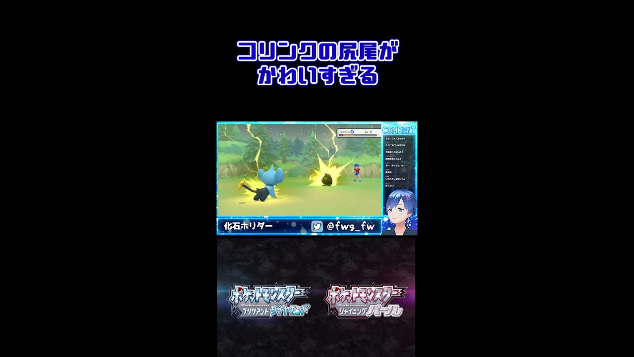 【ダイパリメイク】コリンクの尻尾がかわいすぎる #Shorts【ポケモン】