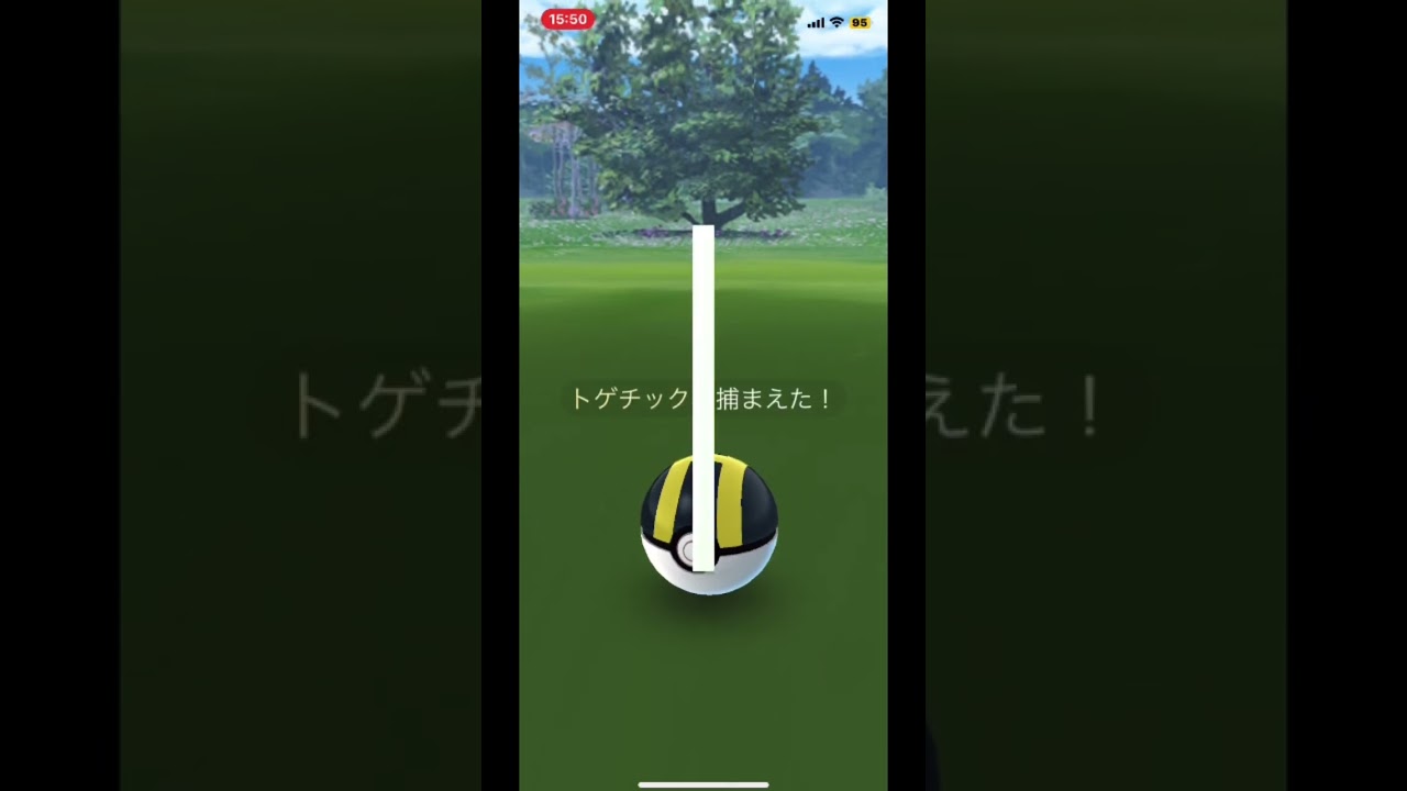 【初色違いトゲチック→トゲキッス】#shorts #shiny #pokemongo #トゲチック　#トゲキッス　#色違い　#ポケモンgo #色違いトゲチック