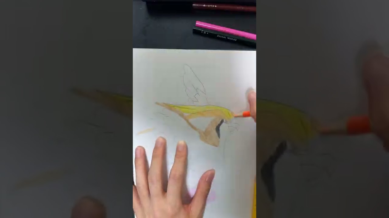 【初代151匹】ポケモン描けるかな？ 【72匹 ピジョット Pidgeot】 #Shorts