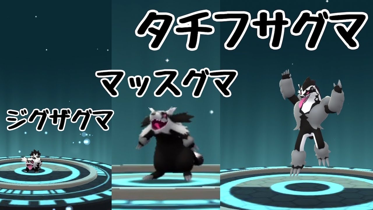 【ポケモンGO】ジグザグマ　→　マッスグマ　→　タチフサグマ　進化！進化！進化！ガラルのすがた