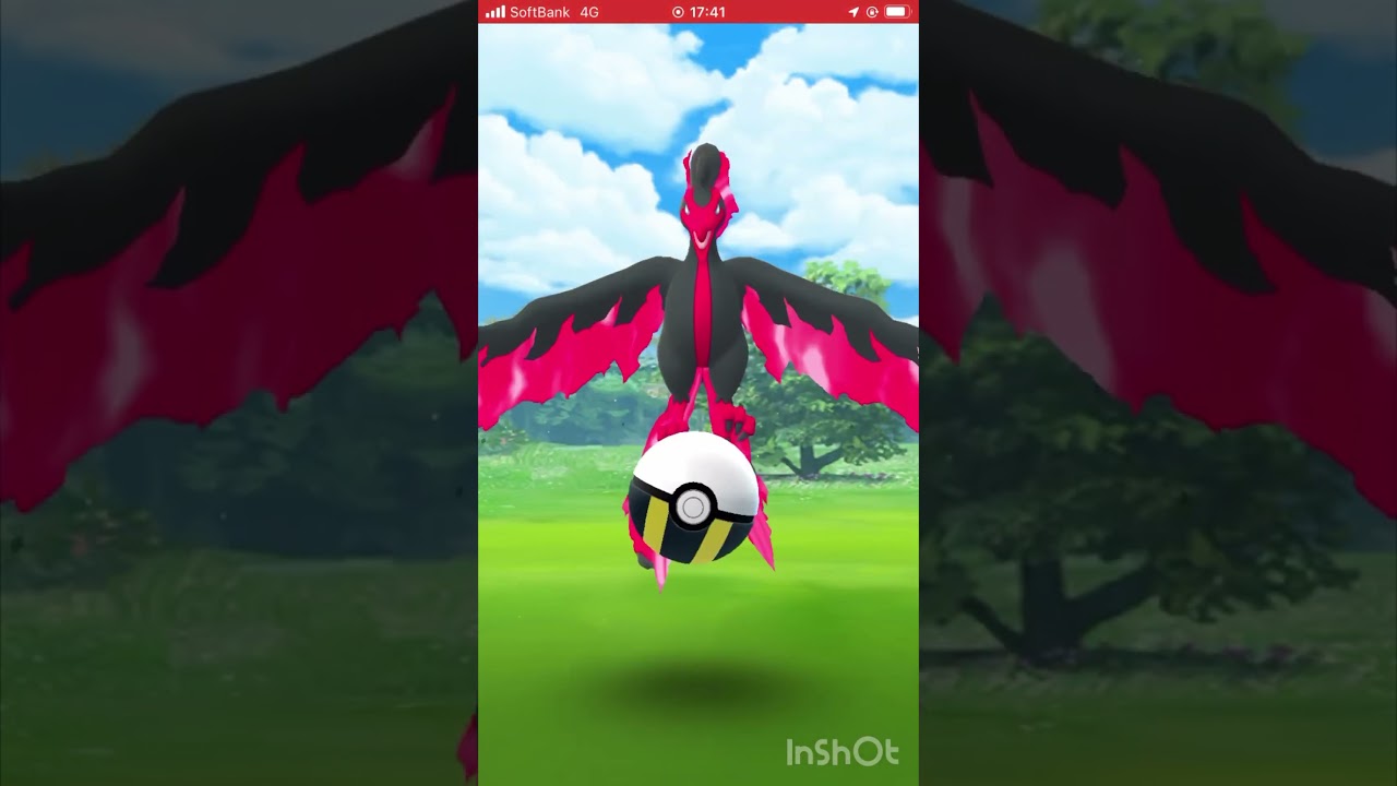 今日こそはガラルファイヤー捕まえてやる！ #ポケモンgo #pokemongo #おさんぽおこう #ガラル三鳥 #shorts