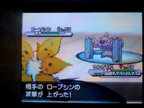 ポケモンBW2 ライコウローブに敗北 Pokemon