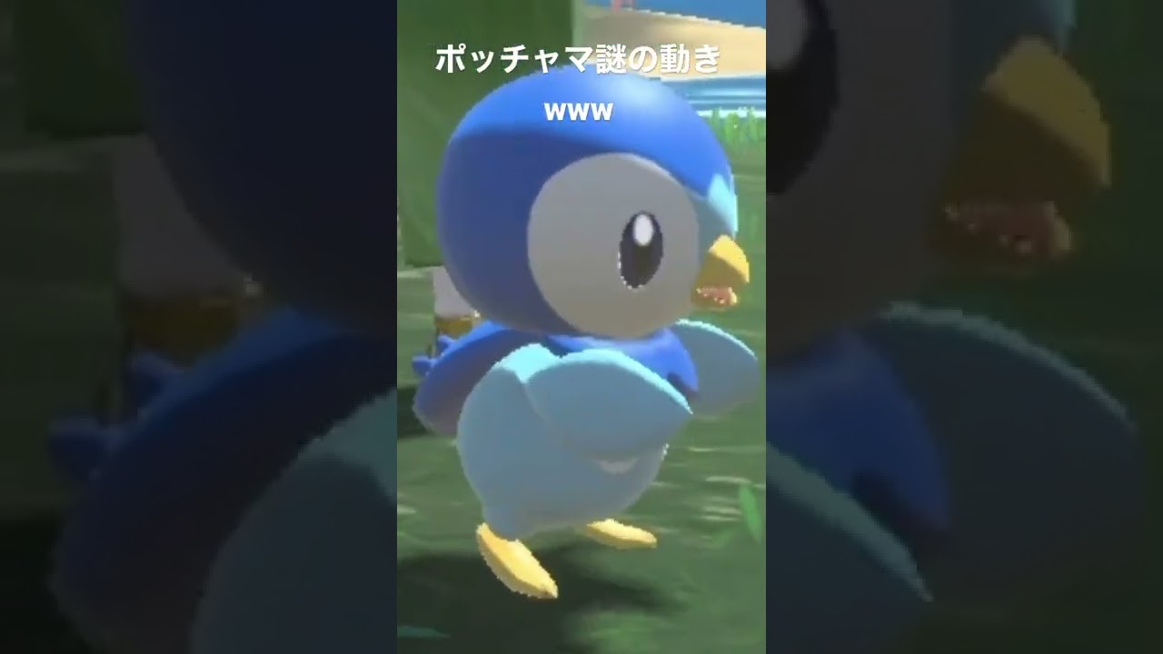 ポッチャマの謎の動き‪w【ポケモンレジェンズアルセウス】#shorts