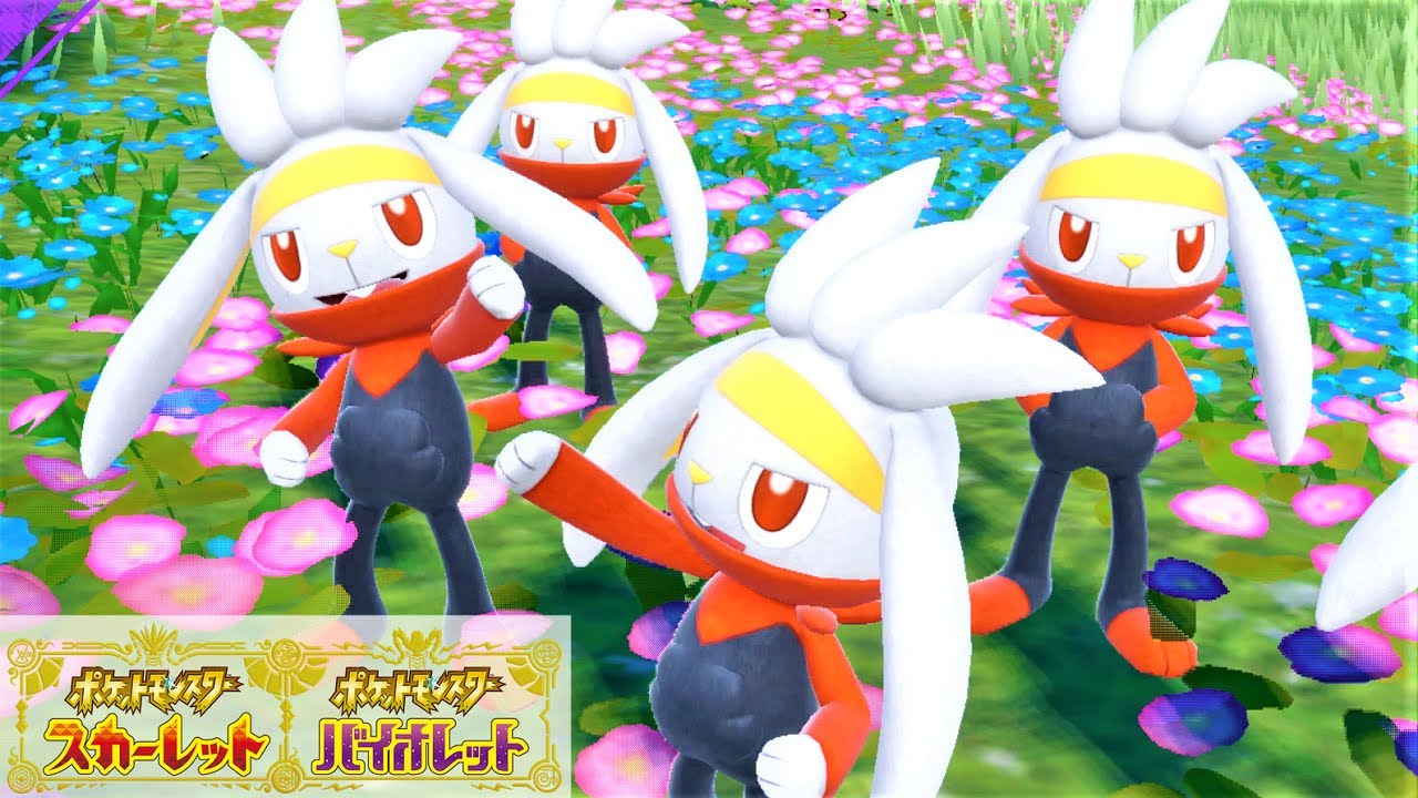 【可愛い】ラビフット６匹に囲まれて癒されピクニック【ポケモンSV】