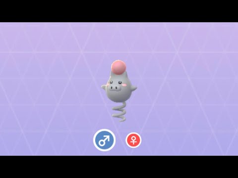 Pokémon GO 325 バネブー