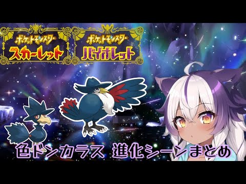 【ポケモンSV】色違いヤミカラス → ドンカラス【ポケットモンスタースカーレットヴァイオレット】