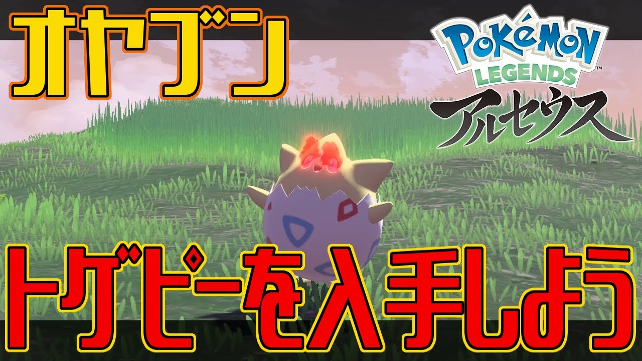 【ポケモンアルセウス】オヤブンのトゲピーを入手しよう【Pokémon LEGENDS アルセウス】