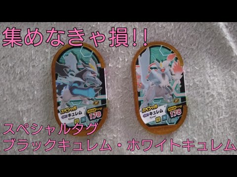 集めなきゃ損!!スペシャルタグブラックキュレム・ホワイトキュレム