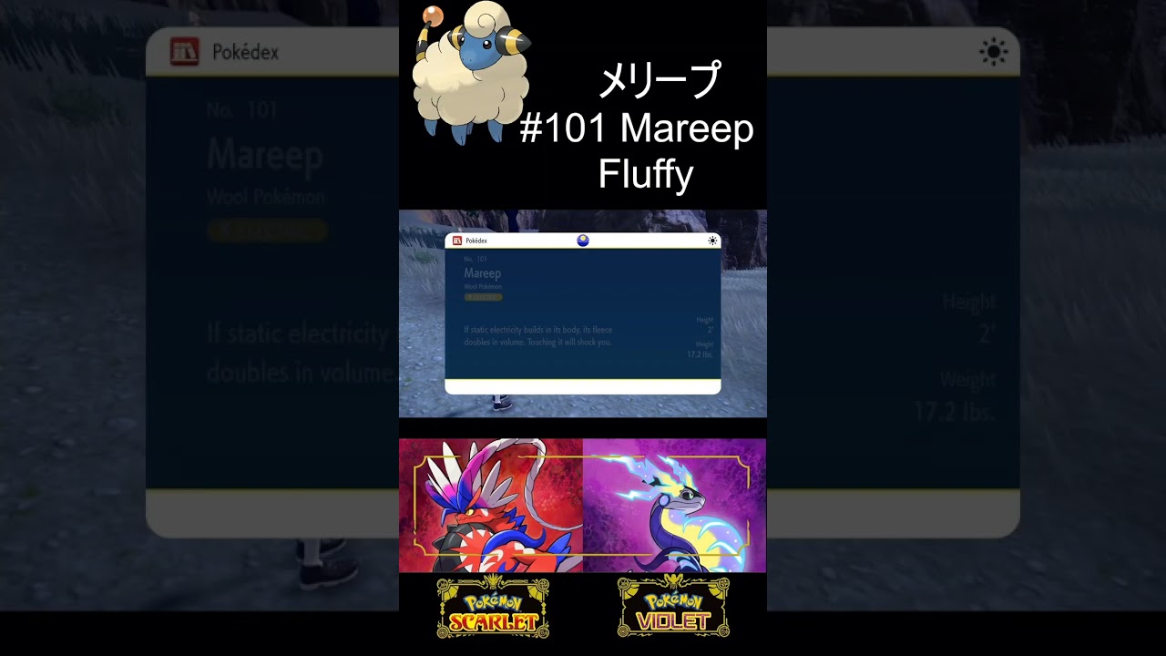 #101 Mareep メリープ Pokémon Scarlet/Violet