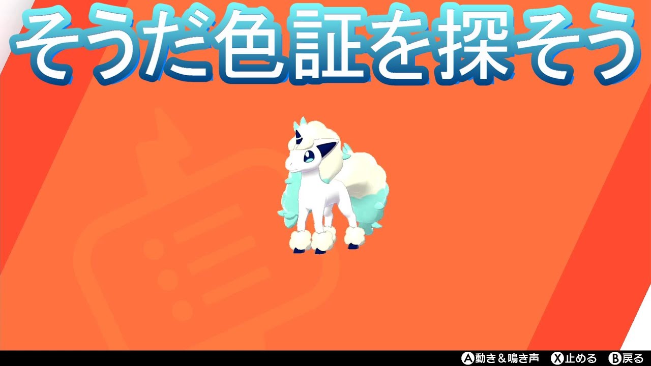 【ポケモン剣盾】10/23 色証ガラルポニータ探す