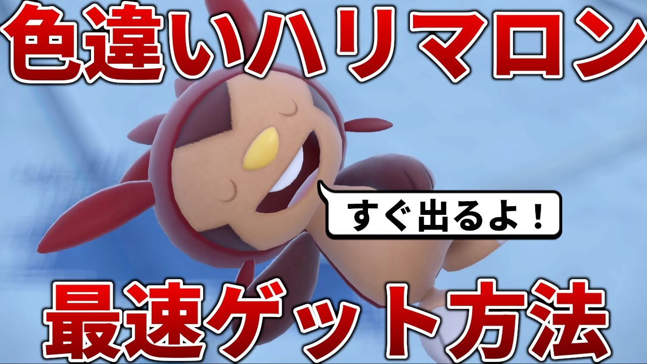 【色違いハリマロン】最強のブリガロンをゲットしたら色違いハリマロンの孵化厳選をしよう！【ポケモンSV】