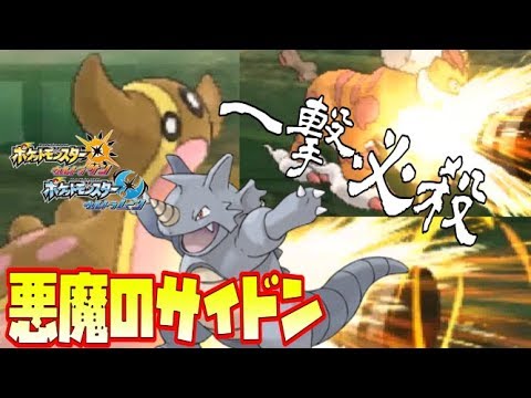 【猫のポケモンUSUM】サイドンの最強技『つのドリル』ですべてを持っていかれる猫【ポケモンウルトラサン ウルトラムーン】【ダブルバトル】
