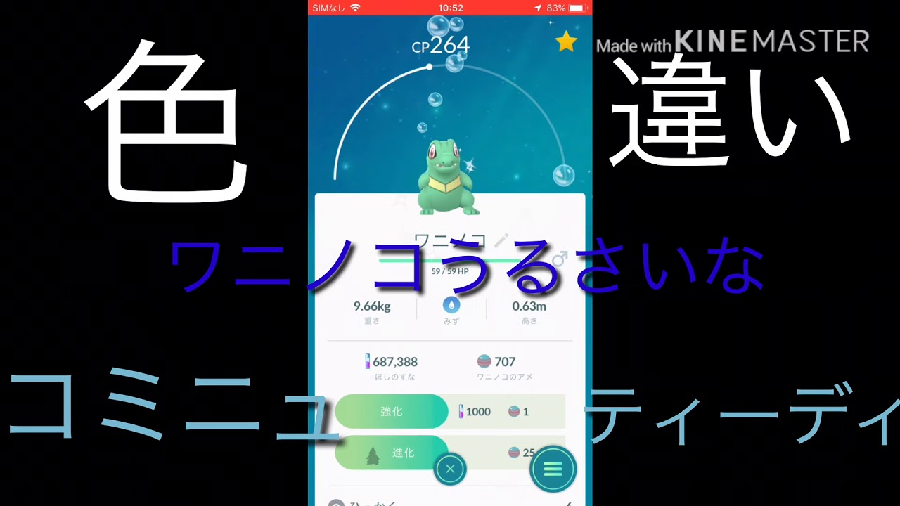 色違いワニノコを速攻でゲット！