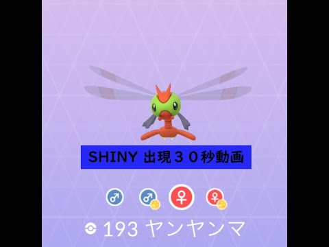 【Pokémon GO】Rarity ”B”＃193 ヤンヤンマ ☆shiny☆#Shorts