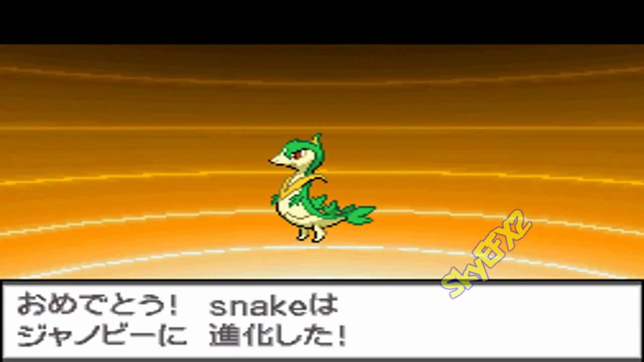 Pokemon Black White Tsutarja evolution Janoby ツタージャ ジャノビー