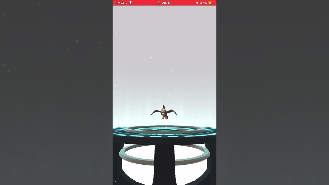 遂にムクホークになった！