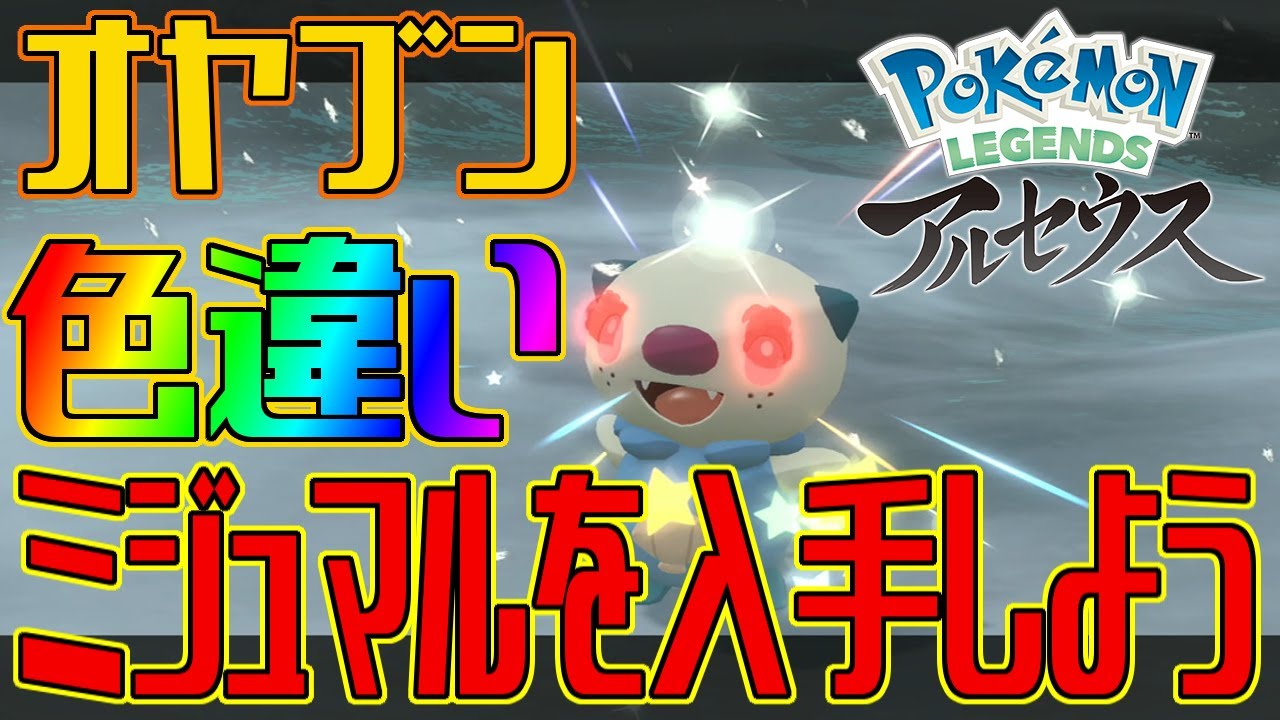 【ポケモンアルセウス】オヤブンの色違いミジュマルを入手しよう【Pokémon LEGENDS アルセウス】