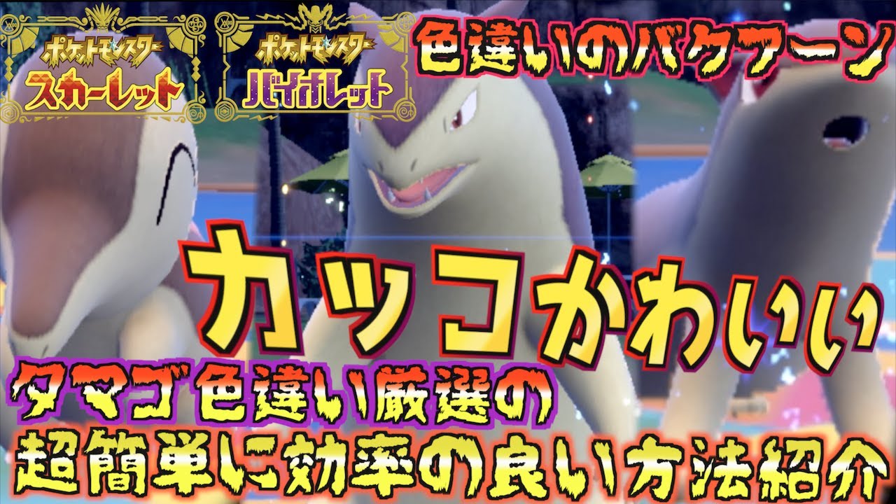 色違いのヒノアラシをタマゴから楽にゲット方法を教えます。色違いのバクフーンのゲット方法 ヒノアラシマグマラシバクフーンめっちゃ好き【最強のバクフーン】【色違い厳選】【 ポケモンSV 】