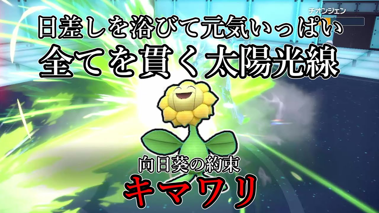 【ポケモンSV】日差しを浴びて元気いっぱい！すべてを貫く太陽光線。向日葵の約束、キマワリ。【ゆっくり実況】