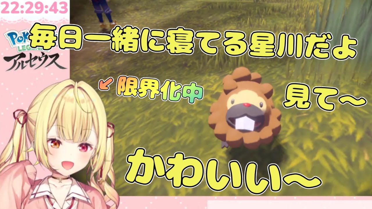 【音量注意】野生のビッパを見つけて限界オタクと化す星川サラ【にじさんじ/星川サラ/切り抜き】