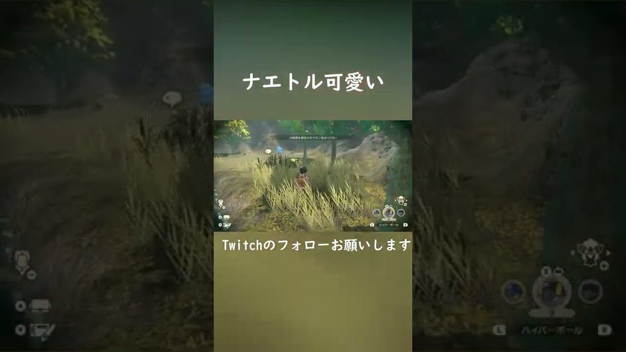 ナエトル可愛い【ポケモンレジェンズアルセウス】#Shorts