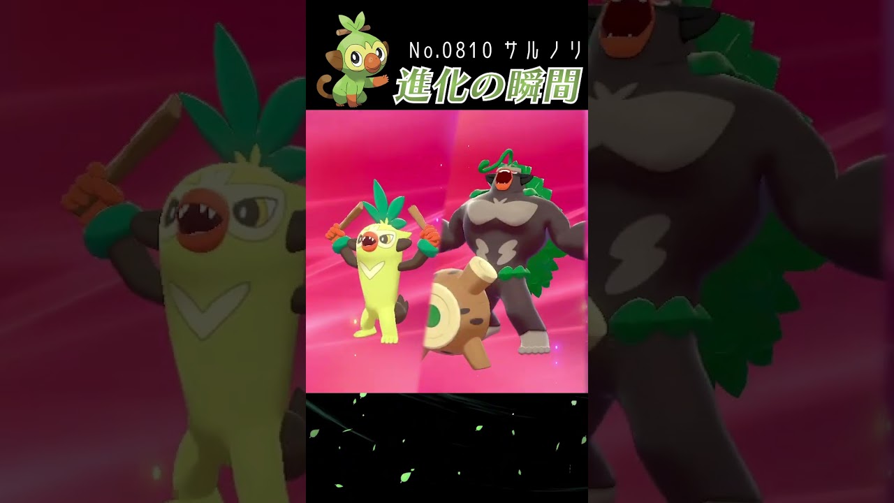 【ポケモン剣盾】サルノリ 進化の瞬間 #shorts