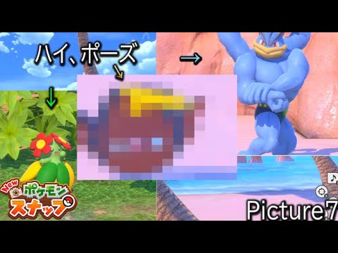 カイリキーとキレイハナに負けじとポーズをとるマッギョが面白すぎるｗｗｗ　ポケモンスナップPicture７