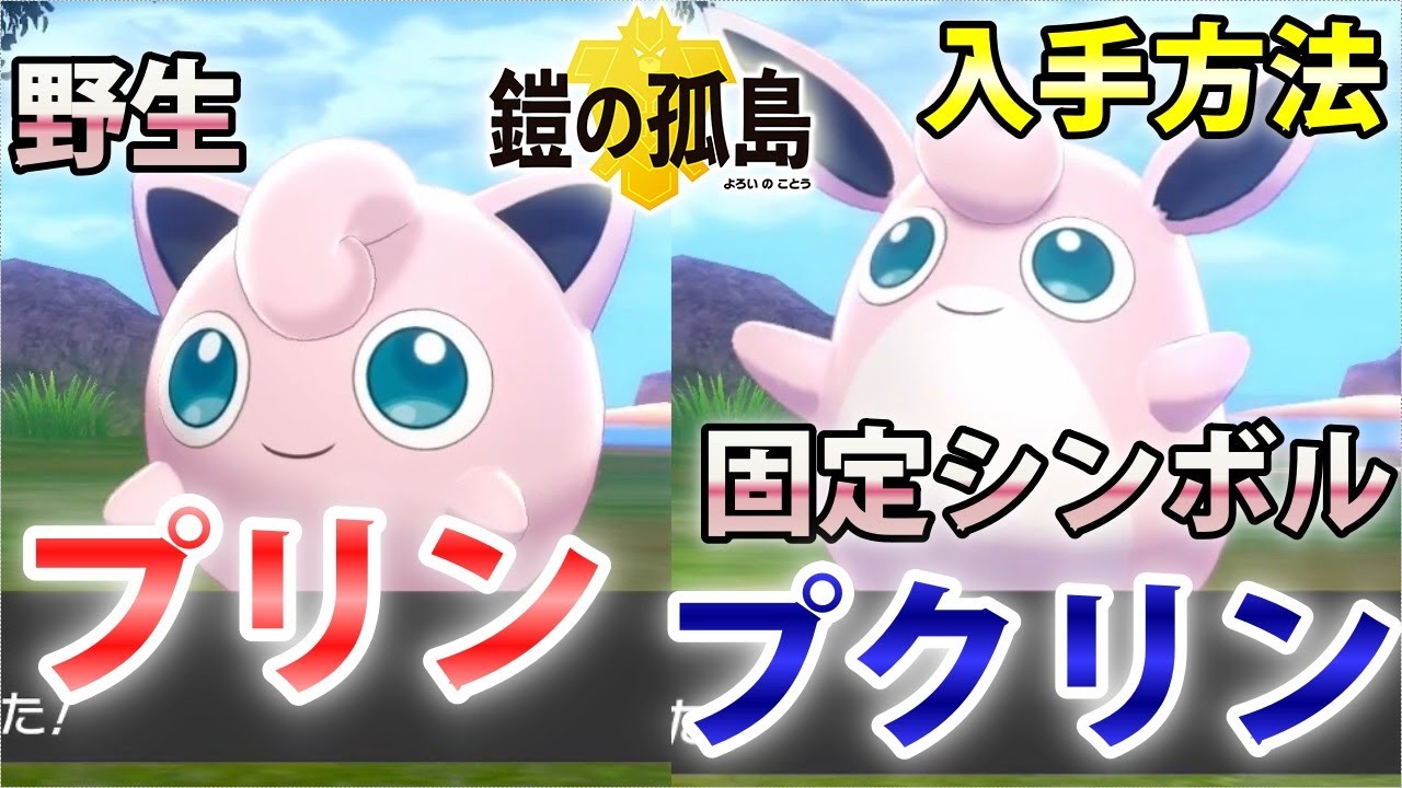 【鎧の孤島】『プリン・プクリン』野生での出現場所・入手方法！進化条件も実況解説【ポケモン剣盾】ニャン速ちゃんねる