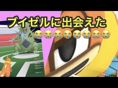 ブイゼル！ありがとーーー！！【ポケモンGO】