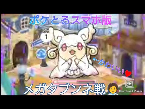 ポケとるスマホ版　メガタブンネ戦