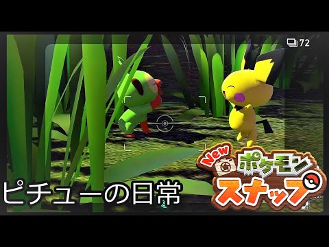 【可愛い】ピチューの日常【Newポケモンスナップ】