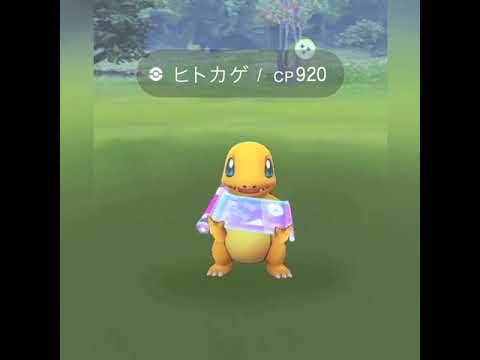 すごいわざスペ持ったヒトカゲが出れば、すべて解決だと思う【2020.8.24UP】