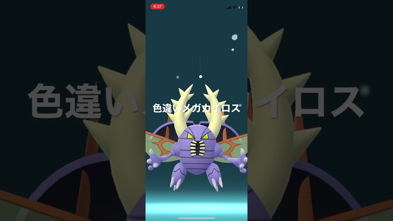 ポケモンGO 色違いシャドウカイロスをメガシンカ！色違いメガカイロス #pokémon #ポケットモンスター #pokmongo