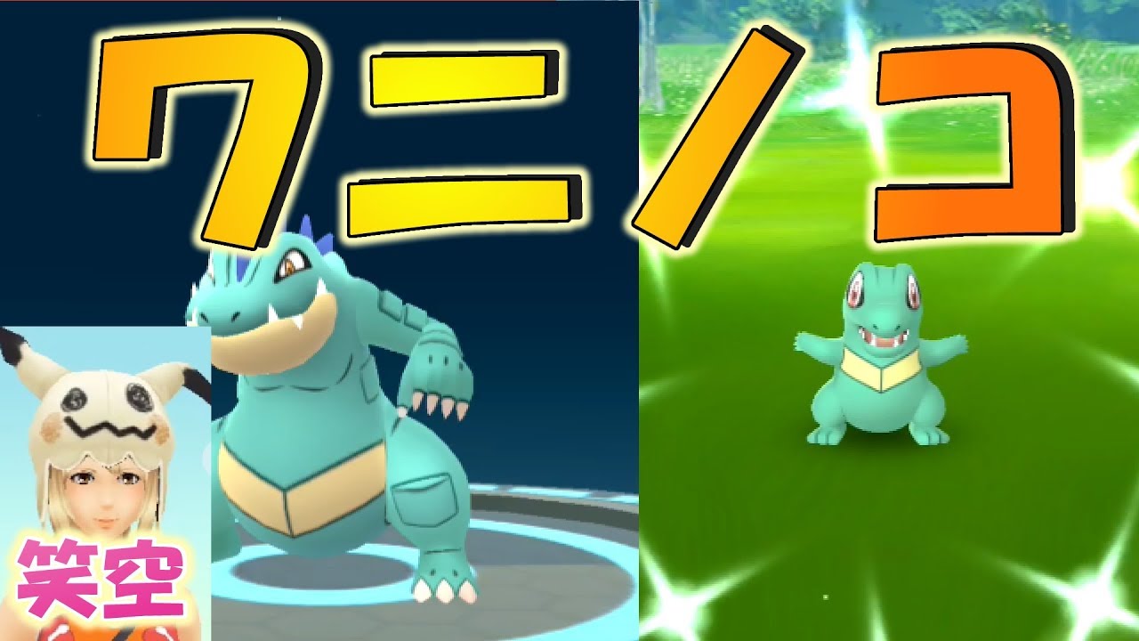 【ポケモンGO】ワニノココミュニティデイ★色違いは何匹でましたか？★TL39無課金・中級者に優しい動画