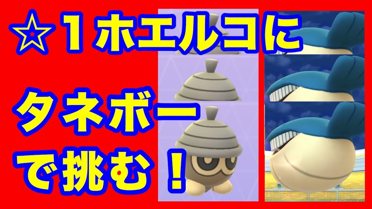 【ポケモンGO】タネボーでホエルコに挑んでみる【Pokémon GO】