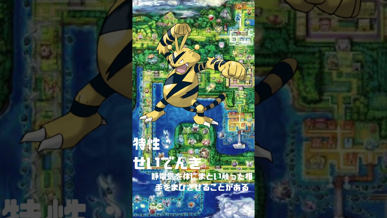 Ｎｏ．0125 エレブー【ポケモン図鑑】 #shorts   #ポケモン　#pokemon