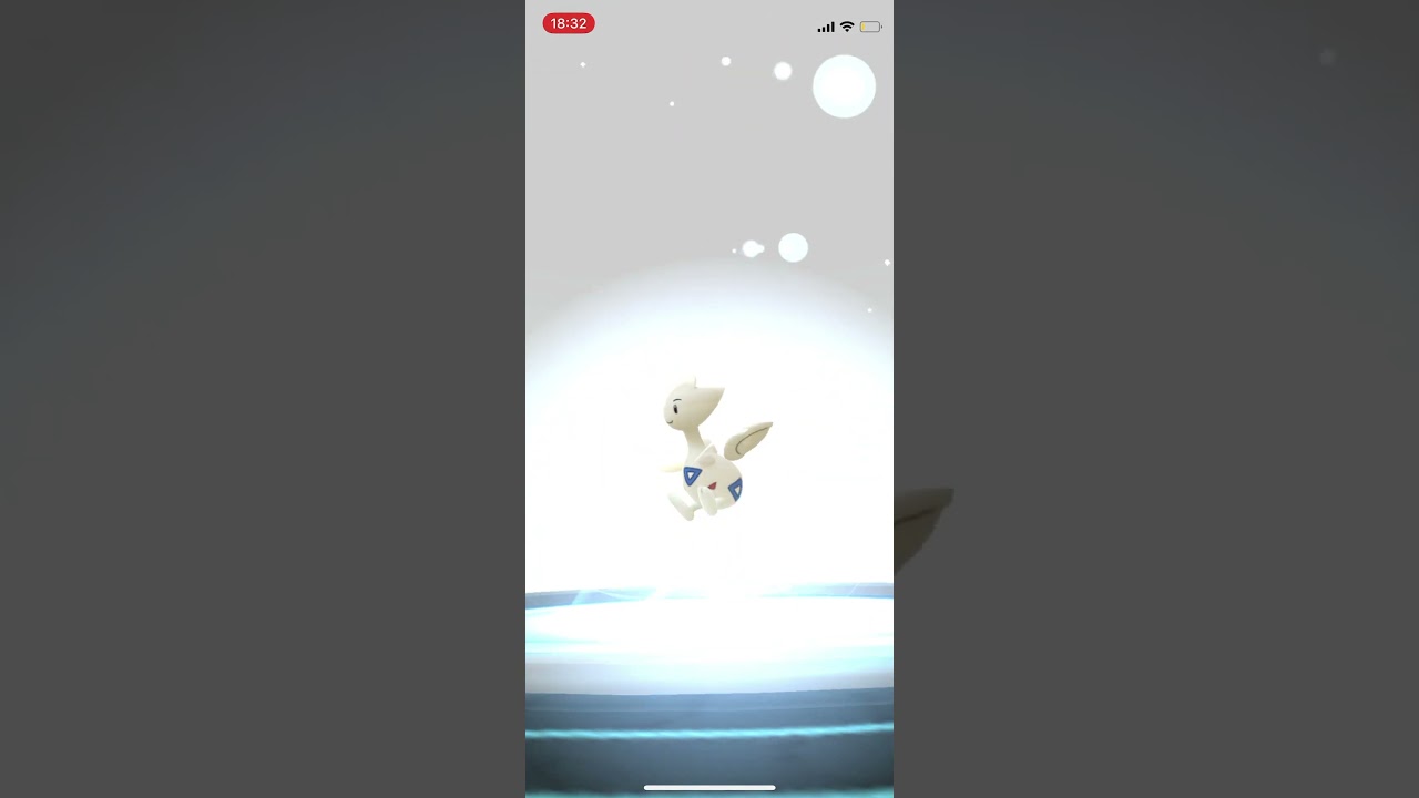 ポケモンGO 色違いトゲチックを色違いトゲキッスへ進化！ #pokémon #ポケットモンスター #pokmongo