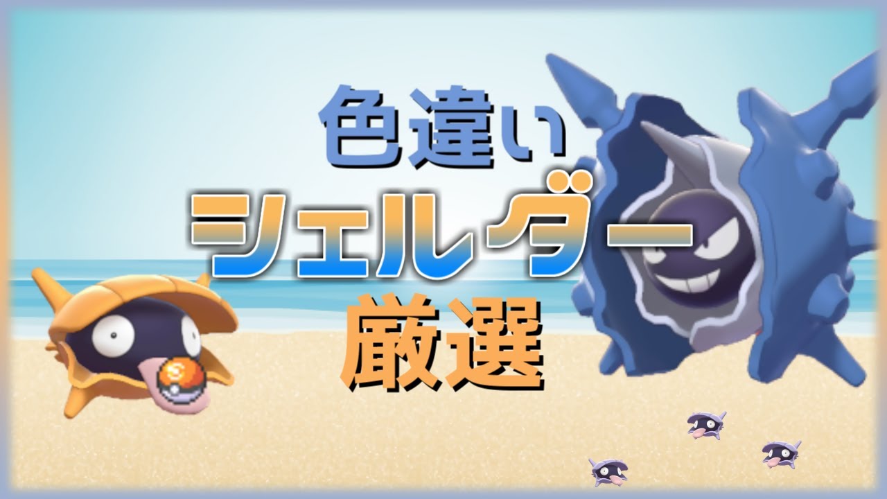 【ポケモン剣盾】ついにやるよ！シェルダー色違い厳選700～※気まぐれで配布あり【概要必読】