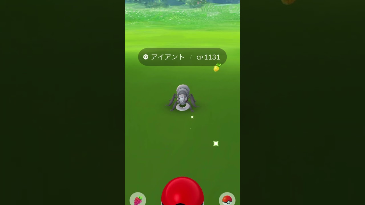 【ポケモンGO】タリーズコーヒー　パートナーリサーチ　アイアントゲット　3個目のタスク　pokemon
