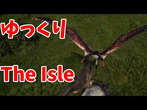 プテラで他の肉食恐竜達をわからせる #9　超ビビリのThe Isleゆっくり実況 - The Isle Evrima
