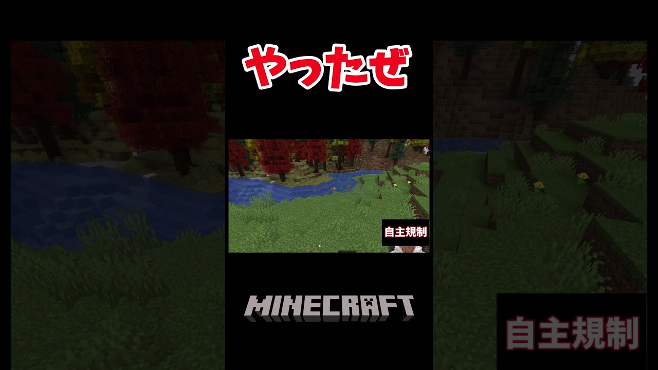 遂にポッポ色違いが進化する…#shorts【Minecraft】