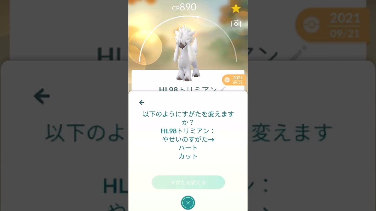 #Shorts◇トリミアンをハートカットにする#45