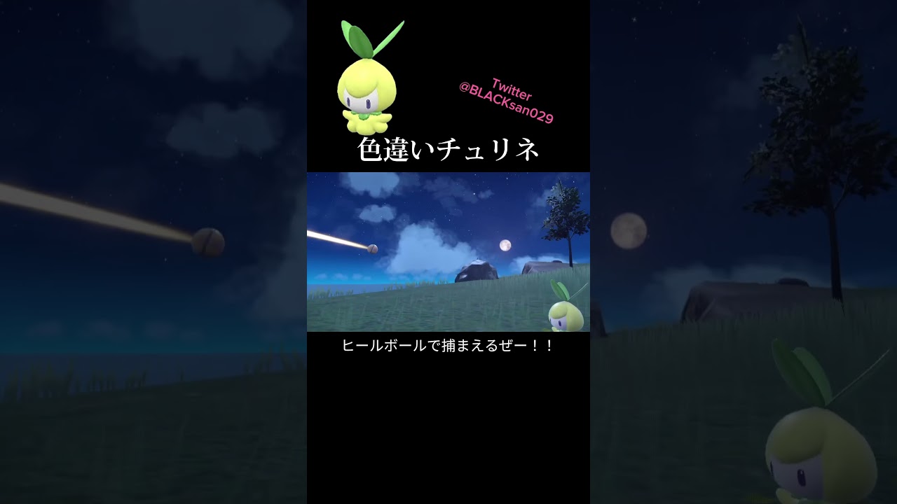 【ポケモンSV】色違いチュリネ、ドレディアを求めて #ポケモンsv #ポケットモンスター #色違い #色違い厳選 #チュリネ #ドレディア #ポケモンSV #shorts
