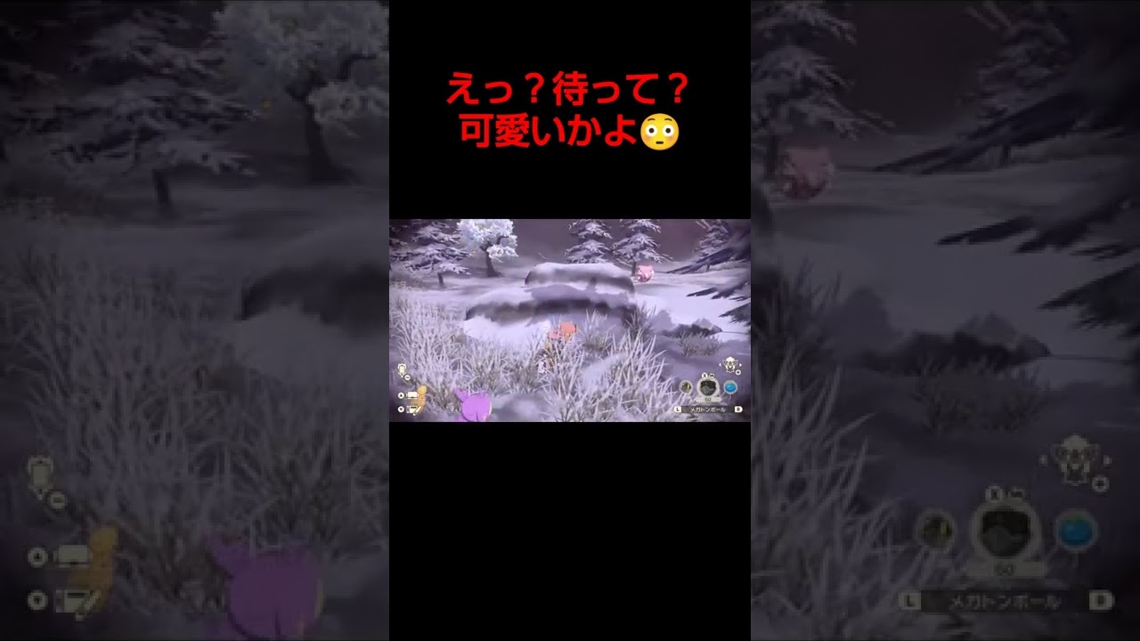 ハピナス狩りのつもりが…【ポケモン】【アルセウス】【エイパム】【ハピナス】【隠密】【可愛い】