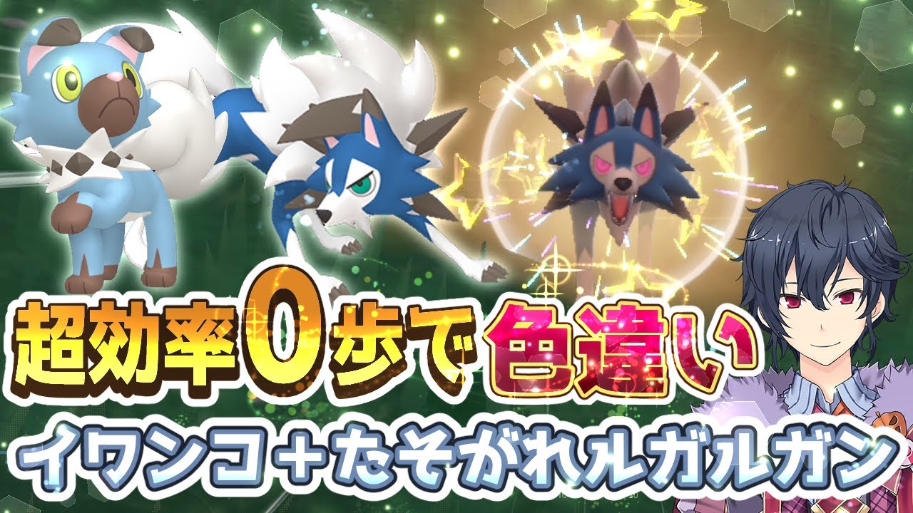 【ポケモンSV】イワンコ・たそがれルガルガン色違い厳選方法【ポケモンスカーレットバイオレット】