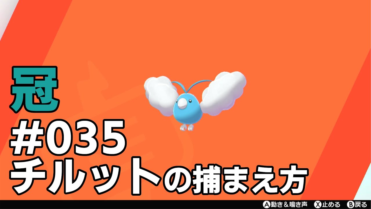 チルットを探している方に見てほしい動画