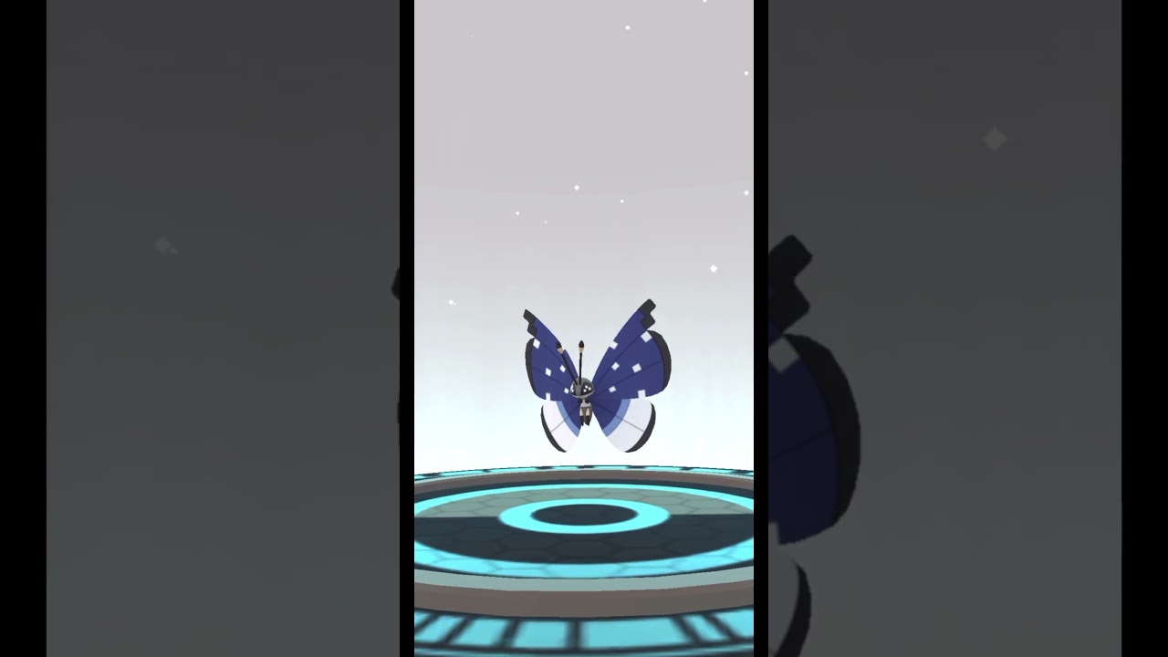 【ポケモンGO】久々の新規模様のビビヨン！！これで5種類目！！【ゆきぐに】