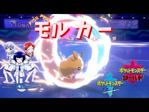 【ポケモン剣盾】ご注文はPYON PYON モルカーですか？【モルペコ】